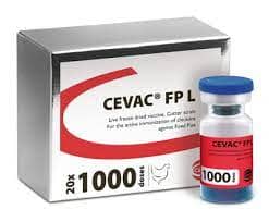 CEVAC® FP L