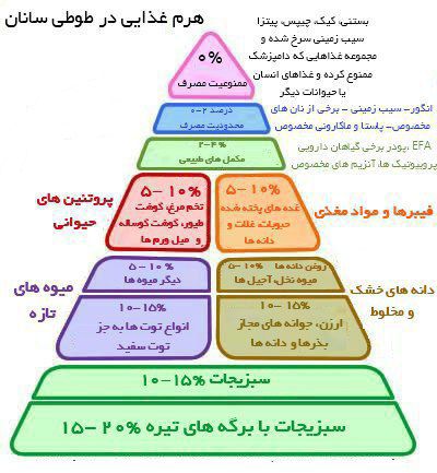 هرم غذایی طوطی سانان
