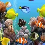 عوامل موثر در فروش ماهیان زینتی