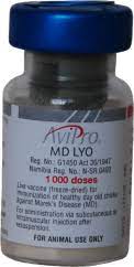 AviPro MD LYO