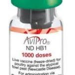 Avipro ND HB1