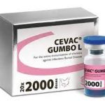 CEVAC® GUMBO L