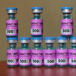 CEVAC® IBD L