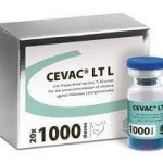 CEVAC® LT L