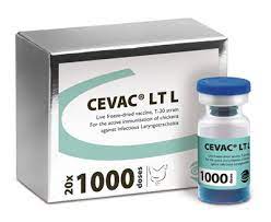 CEVAC® LT L