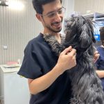 مراقبت از پنجه سگ ها