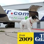 Pet Airways