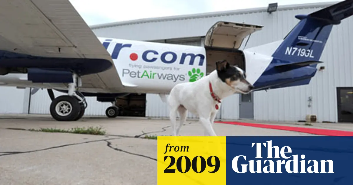 Pet Airways