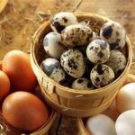 تخم‌های نابارور پرندگان زینتی
