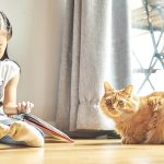 بیماری های مشترک انسان و گربه